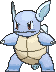 Wartortle