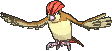 Pidgeotto