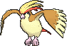 Pidgeot