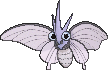 Venomoth