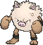 Primeape
