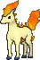 Ponyta
