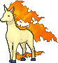 Rapidash