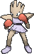Hitmonchan